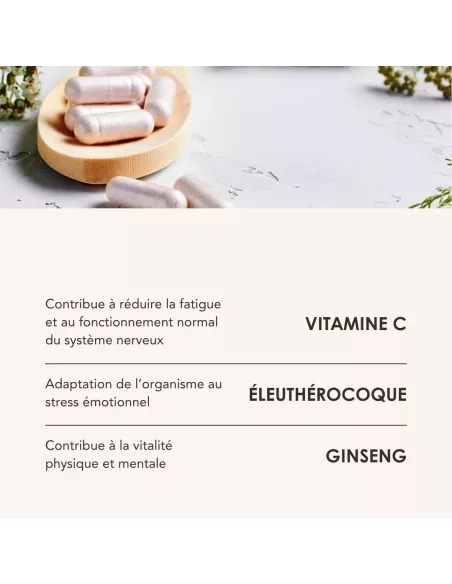 ADRENO PROCESS matin/soir
