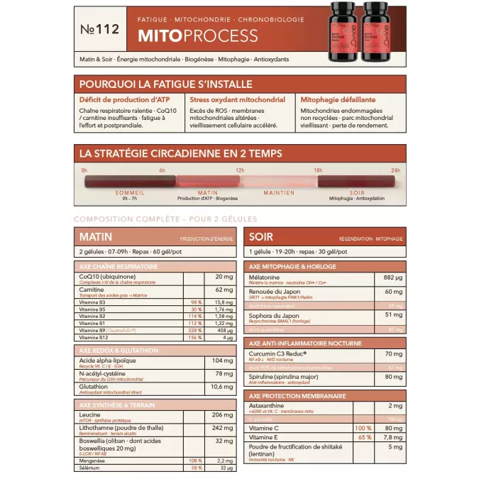 Fiche Produit Mito process A4