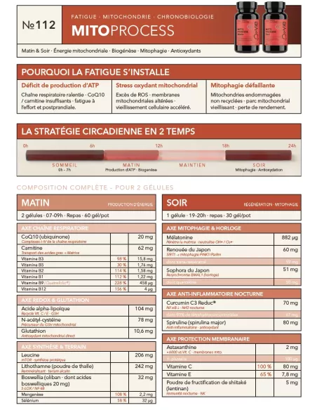 Fiche Produit Mito process A4