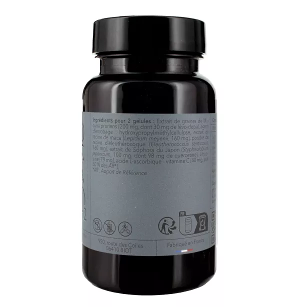 *ADRENO PROCESS matin