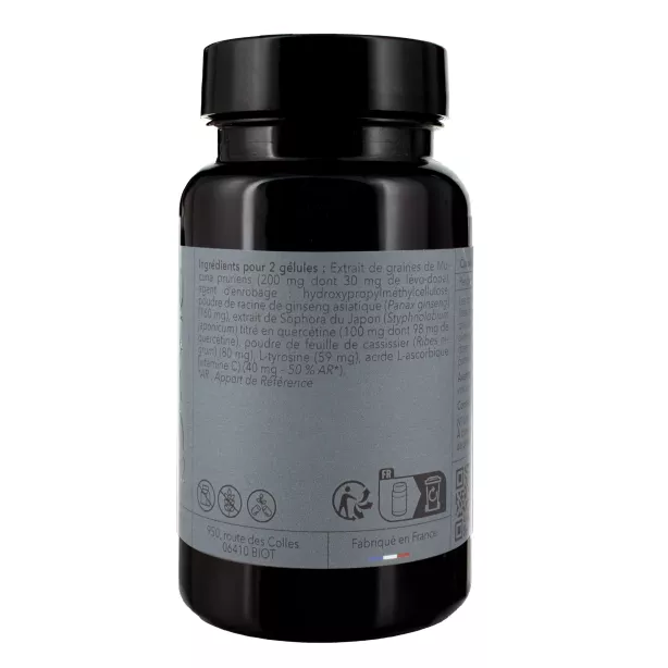 *ADRENO PROCESS soir