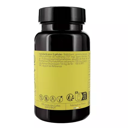 FER-CLUSTER COMPLEX 2