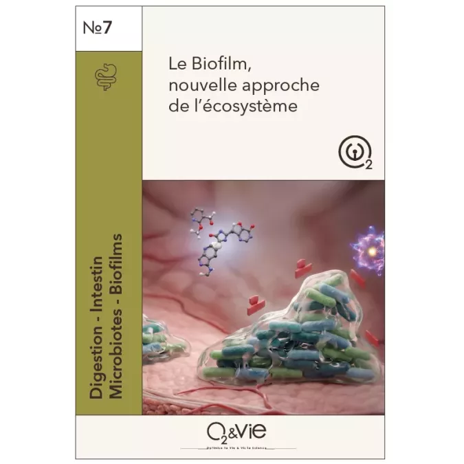 Plaquette N.7 Digestion 2026