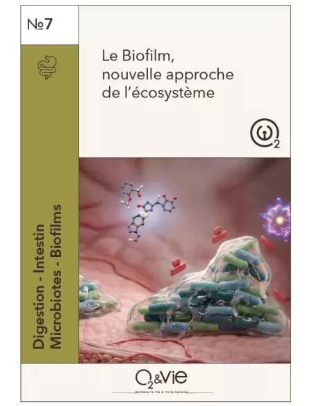 Plaquette N.7 Digestion 2026