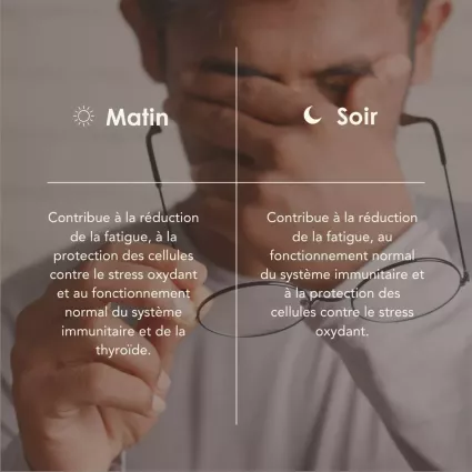MITO PROCESS matin/soir 2