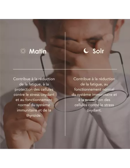 MITO PROCESS matin/soir