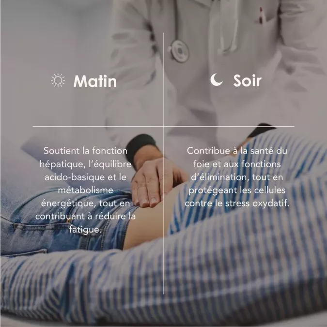 HEPATO PROCESS matin/soir