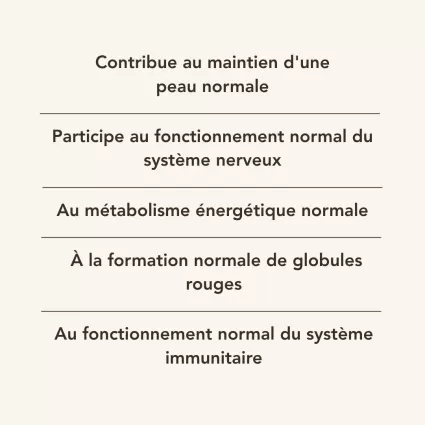 TOTUM-B COMPLEX 2
