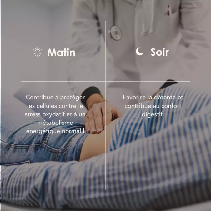 INFLAMGUT PROCESS matin/soir