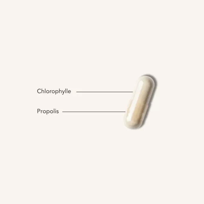 CHLORO-BEE