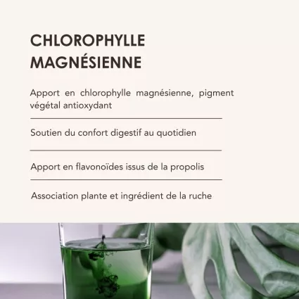 CHLORO-BEE 2