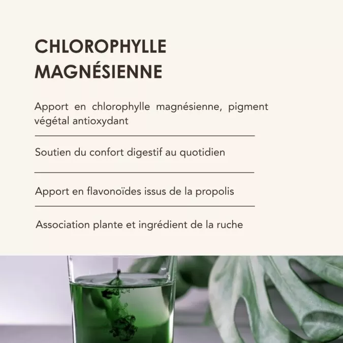 CHLORO-BEE