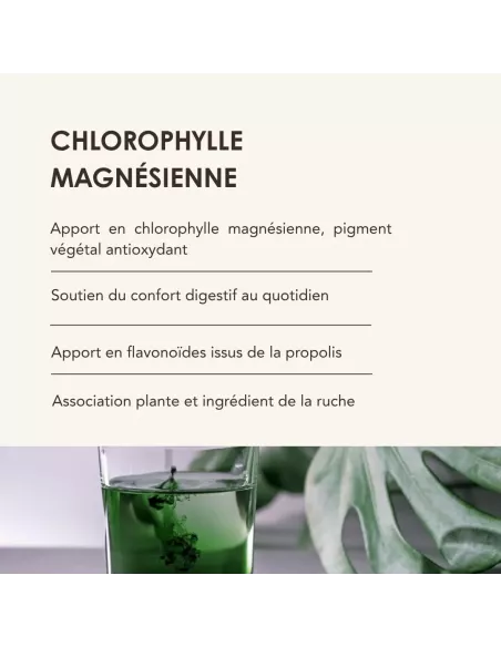 CHLORO-BEE