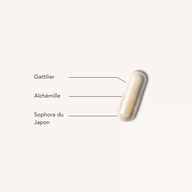 PHYTOSTERO PROGEST
