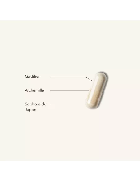 PHYTOSTERO PROGEST