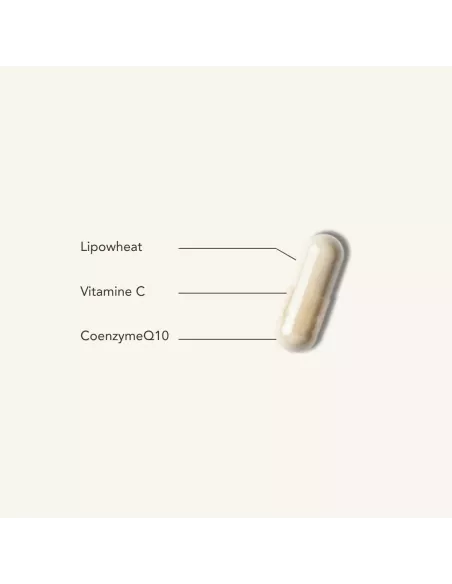 DERMO LIPEAULIFT