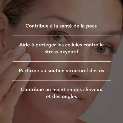 DERMO COLLAGENE 2