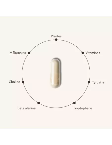 NEURO PROCESS matin/soir