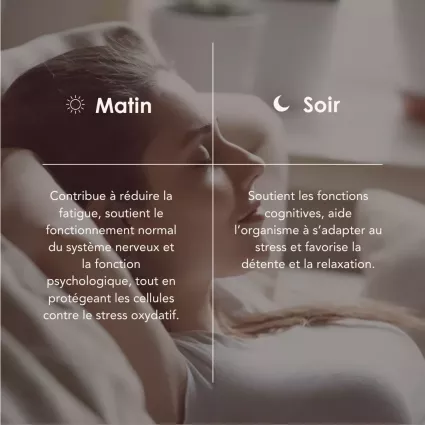 NEURO PROCESS matin/soir 2