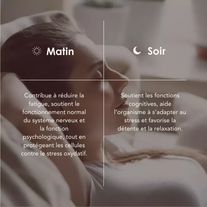 NEURO PROCESS matin/soir