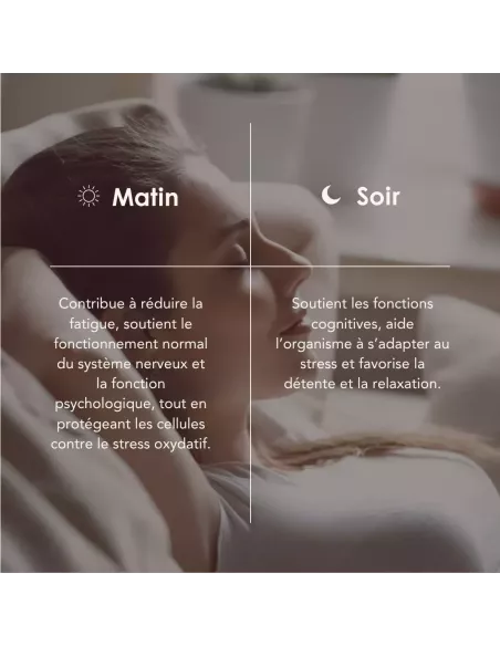 NEURO PROCESS matin/soir