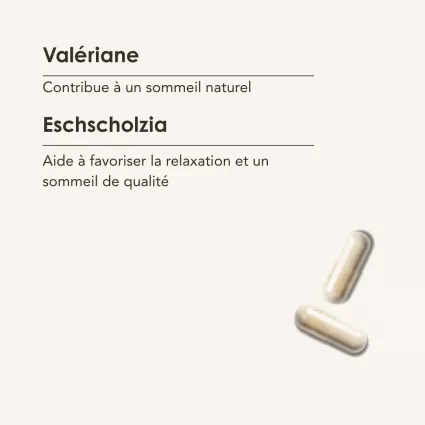 SOMMEIL IDEE FIXE 2