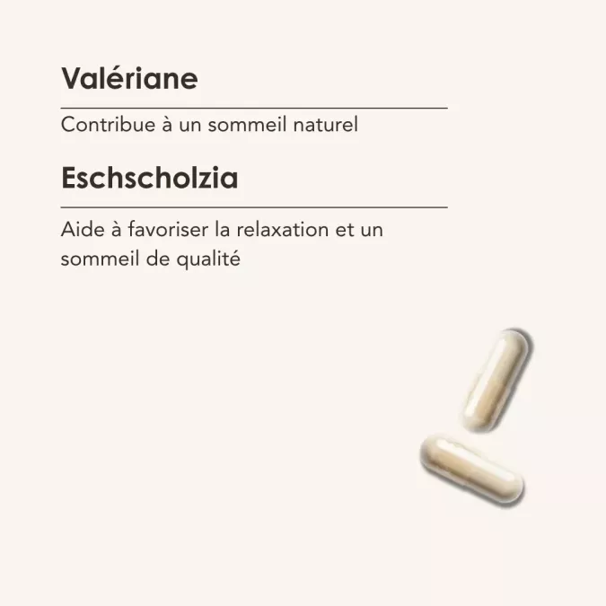 SOMMEIL IDEE FIXE