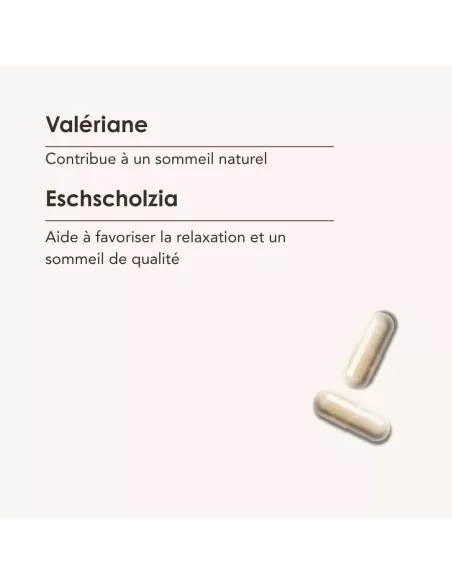 SOMMEIL IDEE FIXE