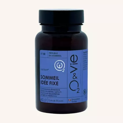 SOMMEIL IDEE FIXE