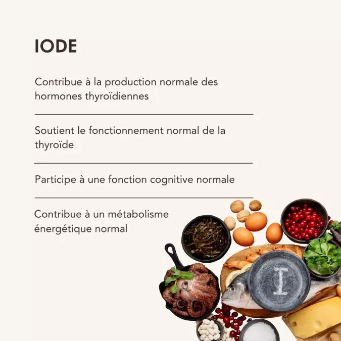 IODE